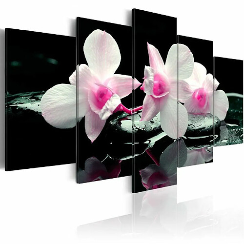 Paris Prix Tableau Imprimé Rest of Orchids 100 x 200 cm