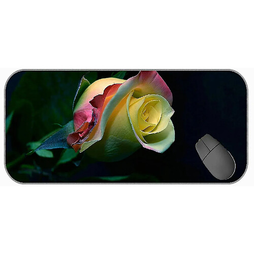 Universal (750x300x3) Mat / pad de souris de jeu étendu - grand, rose, rose, coussinet de souris à fleurs avec bords cousus