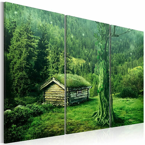 Paris Prix Tableau Imprimé écosystème Forestier 60 x 90 cm