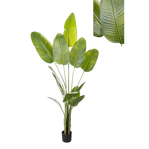 Plante décorative Romimex Strelitzia Plastique 110 x 210 x 70 cm