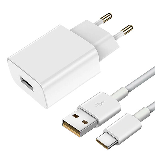 Chargeur Secteur USB et Câble USB-C Puissance 33W Original Vivo Blanc