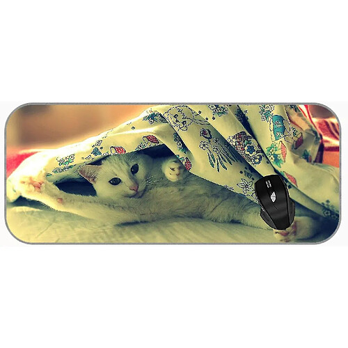 Universal (750x300x3) Tampon de souris de jeu Grande couverture de chat animal xxl