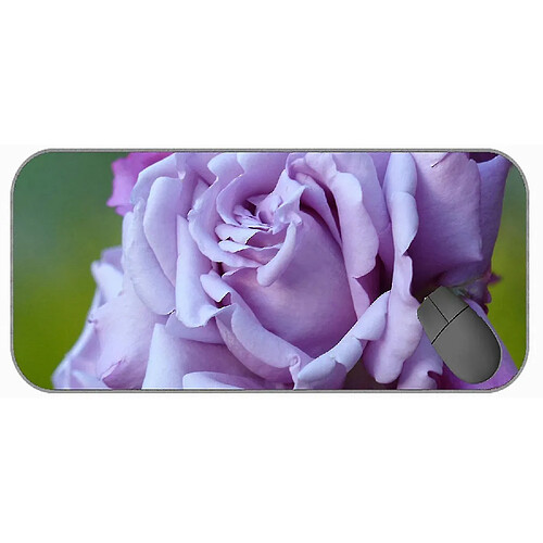 Universal (750x300x3) Tampon de souris de jeu avec bords cousus, fleur violette Nature Macro Rose Rose Rubber