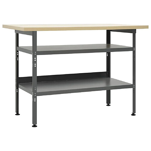 Helloshop26 Etabli table de travail poste de travail stockage rangement d'outils banc d'outils avec 2 etagères garage atelier 120 cm acier gris 02_0003676