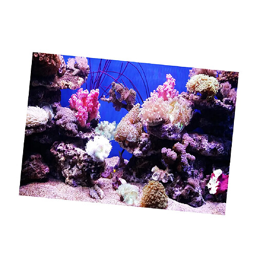 Autocollant pour aquarium