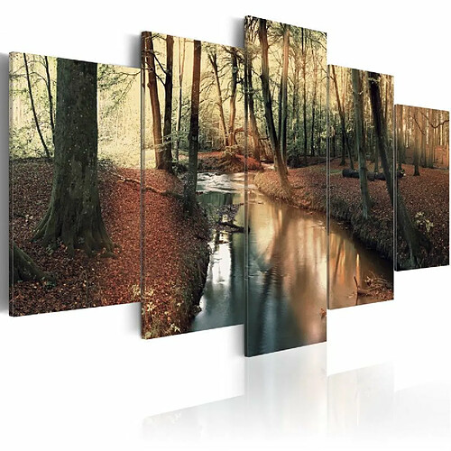 Paris Prix Tableau Imprimé Brown Autumn : Forest 50 x 100 cm