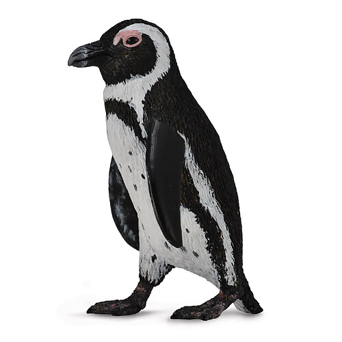 Figurines Collecta Figurine : Pingouin d'Afrique du Sud