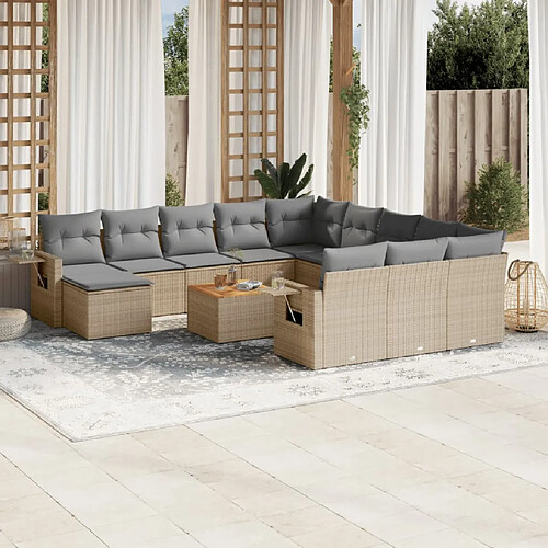 vidaXL Salon de jardin et coussins 13 pcs mélange beige résine tressée