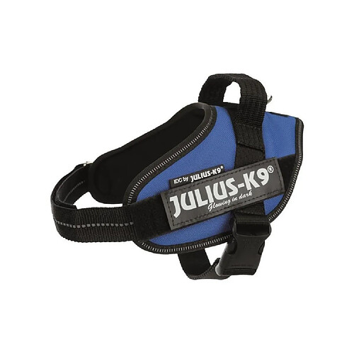 JULIUS K9 Harnais Power IDC Mini?M : 49?67 cm - 22 mm - Bleu - Pour chien