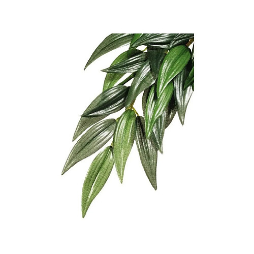 EXO TERRA Plante Ruscus - Grand modele - Pour terrarium