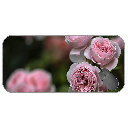 Universal (750x300x3) Mouspade XXL Long, Mouspade en caoutchouc de fleur de rose macro-rose Nature