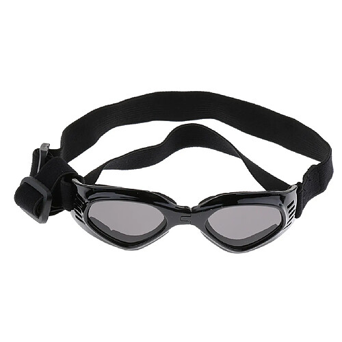 Lunettes de soleil pour chiens