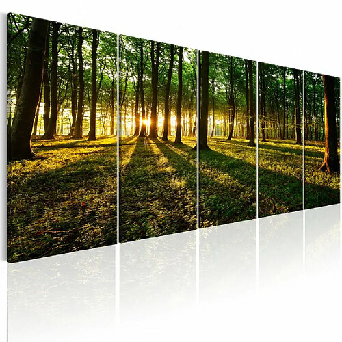 Paris Prix Tableau Imprimé Shade of Trees I 80 x 200 cm