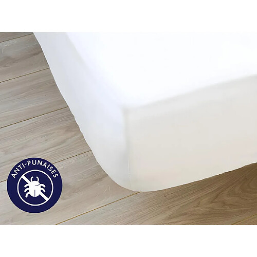 Protège matelas DODO imperméable et anti punaises de lit - 160 x 190 cm - MAXIPROTECT