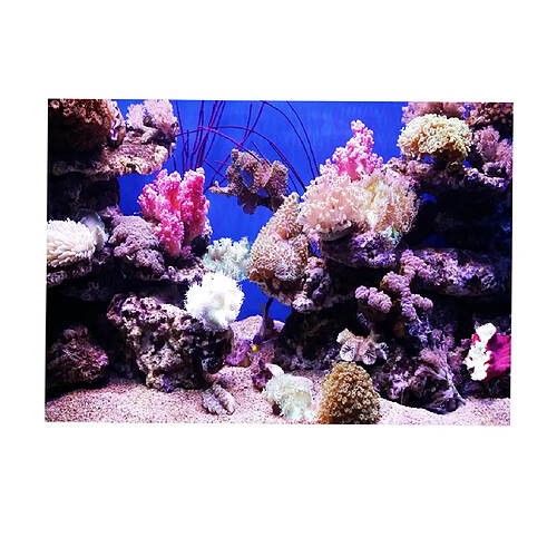 Autocollant de fond d'aquarium