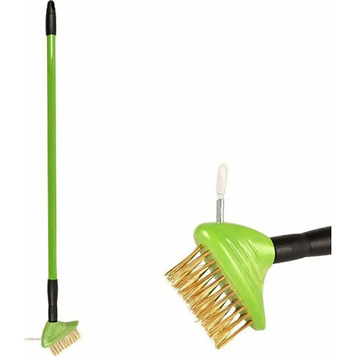 Progarden BROSSE TÉLESCOPIQUE POUR LES HARBRES DE BRACE DE grattoir