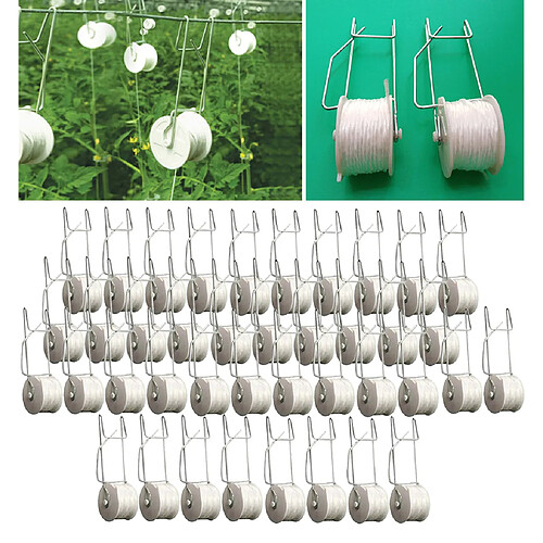 40PACK AGRICULTURE PLANTATION DE LÉGUMES TOMATES CROCHETS SUPPORTS POUR UNE PLANTATION FACILE