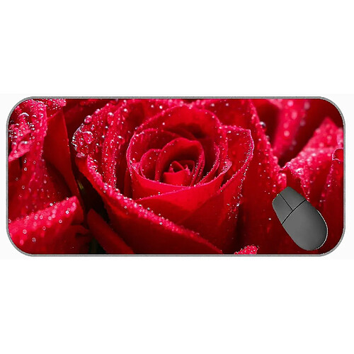 Universal (750x300x3) xxl Taft de souris de grande taille, souris fleur de fleur de fleur rouge