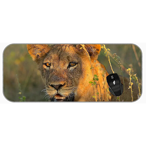 Universal (750x300x3) xxl jeu grand coussin de souris grand chat au repos lion lion de souris en caoutchouc non glissant