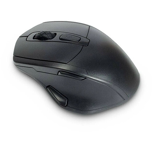 Inter-Tech ETERNO Souris sans fil Ergonomique Noir M-230