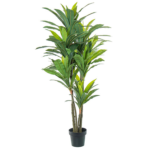 Plante décorative Alexandra House Living Plastique Dracaena 160 cm