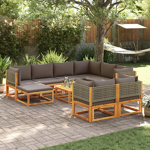 vidaXL Salon de jardin avec coussins 10 pcs bois d'acacia solide