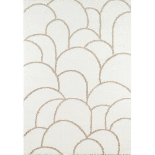 Jardindeco Tapis intérieur en polyester poils longs Léna arc 160 x 120 cm.