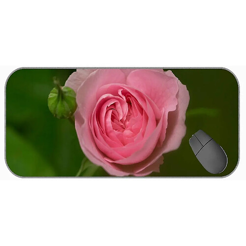 Universal (750x300x3) Grand tampon de souris de jeu avec couture de bord, pavé de souris de fleur de rose de fleur rose rose