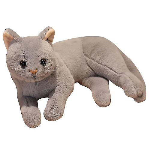 Universal Homemiyn Cat Doll mignon en peluche de fille en peluche fille ragdoll drague cadeau d'anniversaire (30x15x20cm) (gris)