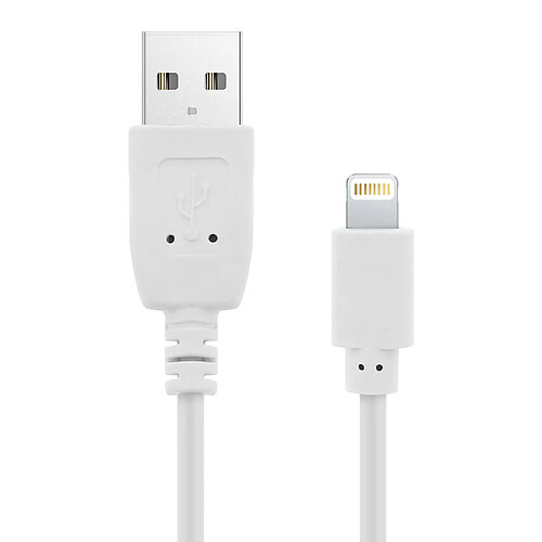 Avizar Câble USB vers iPhone iPad iPod Charge & Synchro Quick Charge 2.0 1,2m - Blanc