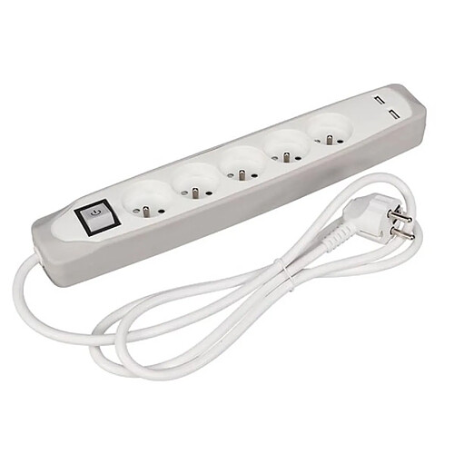 Perel Bloc Multiprise Avec Interrupteur 5 Prises 2 Ports Usb Gris/Blanc - Terre Française