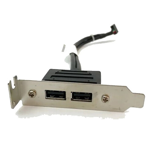 Câble Panel I/O 2 Ports USB IBM Lenovo FRU 42Y8006 22cm Low Profile M58 M82 · Occasion