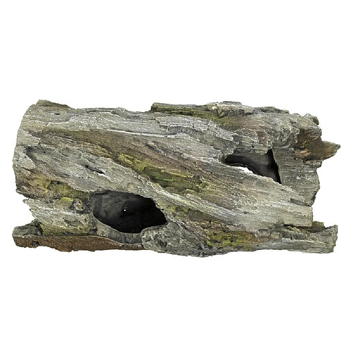 Nobby Bois Flotté Décoration pour Aquarium 25 x 12 x 12 cm