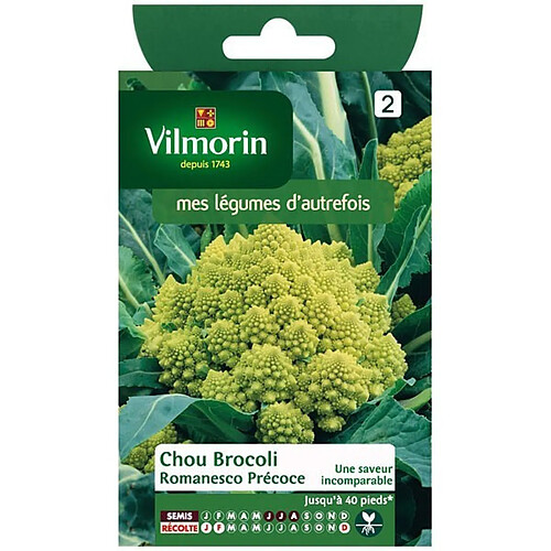 Vilmorin Sachet graines Chou Brocoli Romanesco Précoce