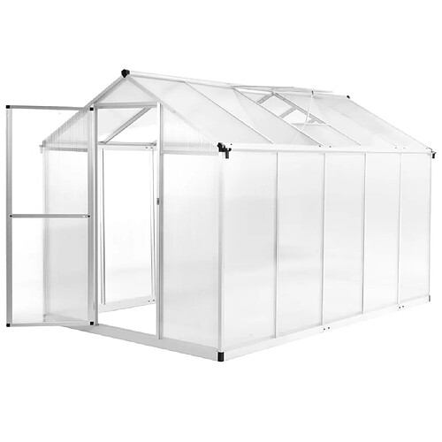 vidaXL Serre Aluminium 302x190x195 cm 11,19 m³