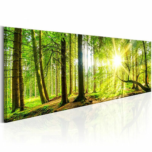 Paris Prix Tableau Imprimé Majestic Trees 50 x 150 cm