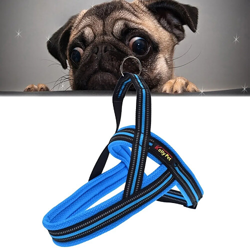 Wewoo Pour Animal de compagnie Chiens bleu A7 Réfléchissant Polyester Poitrine Harnais Laisse Traction Big Dogs Chaîne de Sécurité Collier de Corde, Taille: L, 2.5 * 68 * 84 cm Pet