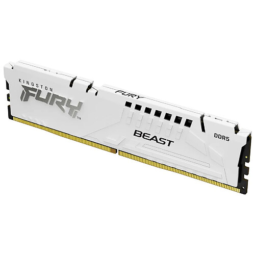 Mémoire RAM Kingston FURY Beast White 16 GB DDR5 cl34