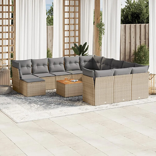 vidaXL Salon de jardin et coussins 13 pcs mélange beige résine tressée