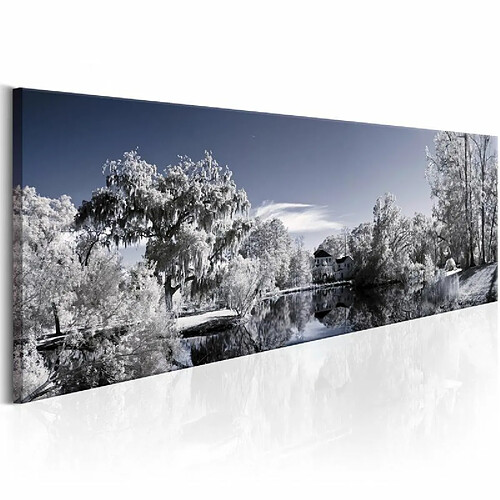 Paris Prix Tableau Imprimé Wintry Lake 45 x 135 cm