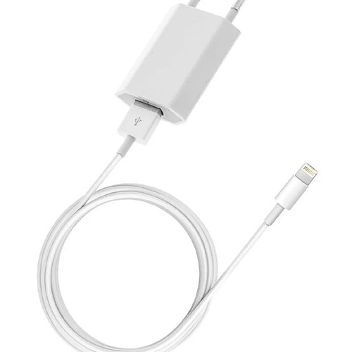 Winkoo.fr Lightning vers câble USB et adaptateur secteur USB 5 W