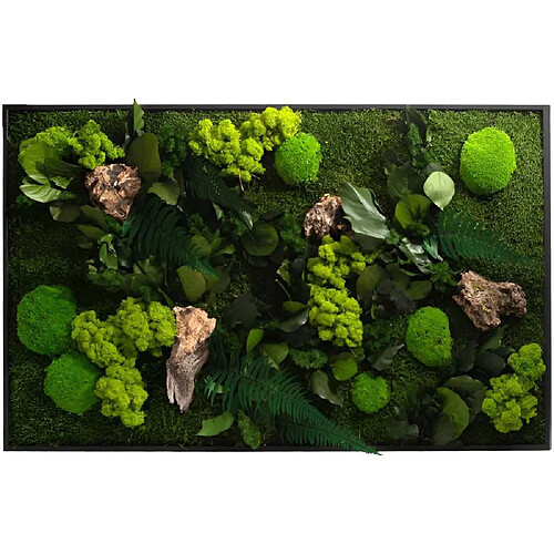 Flowerbox Tableau végétal stabilisé canopé Rectangle 100 x 60 cm.