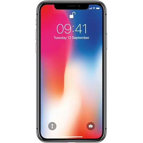 Apple iPhone X 256 Go Gris Sidéral · Occasion