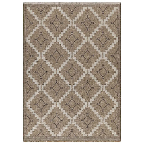 Jardindeco Tapis intérieur extérieur aspect jute marron Tijuana 9041 90 x 67 cm.