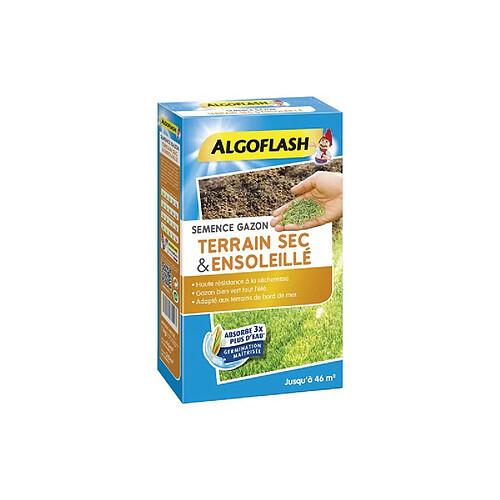 ALGOFLASH Semences gazon terrain sec et ensoleillé - 1 Kg