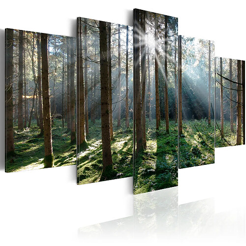 Decoshop26 Tableau toile de décoration murale impression premium en 5 parties sur châssis en bois motif Forêt de conte de fées 200x100cm 11_0017931