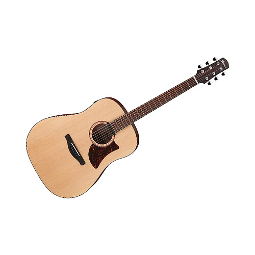 AAD100E Advanced Acoustic Open Pore Natural Ibanez