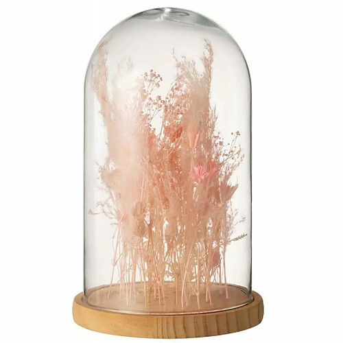 Paris Prix Cloche en Verre Déco Fleurs Séchées 38cm Rose