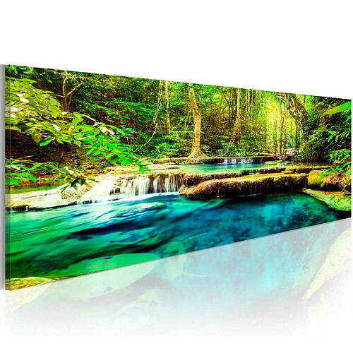 Paris Prix Tableau Imprimé A Jewel of Nature 40 x 120 cm