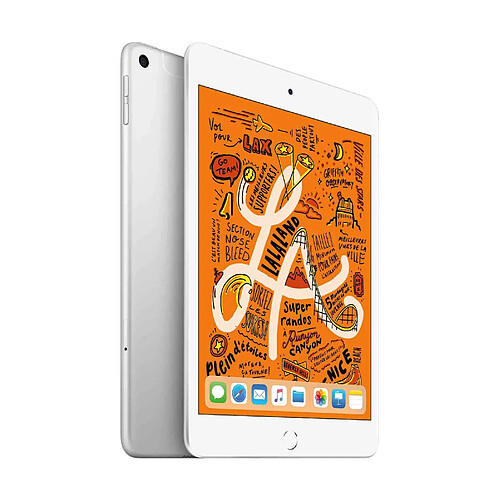 Apple Ipad mini 2019 - 256Go - Wifi - MUU52NF/A - Argent · Reconditionné